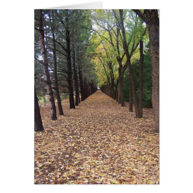 コロラド州道 (正面)