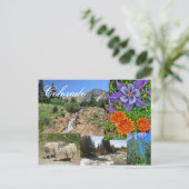 コロラド州野生動物用はがき ポストカード (スタンド正面)