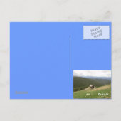 コロラド州野生動物用はがき ポストカード (裏面)