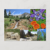 コロラド州野生動物用はがき ポストカード (正面)