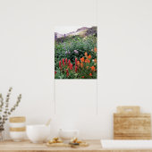 コロラド州、アンコンファーナショナルフォレスト ポスター (キッチン)