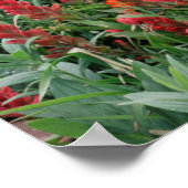 コロラド州、アンコンファーナショナルフォレスト ポスター (角)