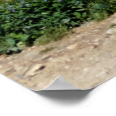 コロラド州，オピール峠 ポスター (角)