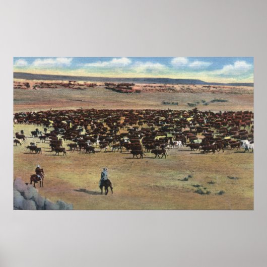 コロラド州 – カウボーイズ丸め ポスター (正面)