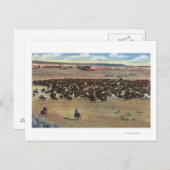 コロラド州 – カウボーイズ丸め ポストカード (正面/裏面)