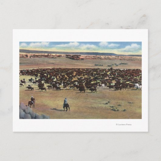 コロラド州 – カウボーイズ丸め ポストカード (正面)