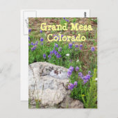 コロラド州，グランドメサ ポストカード (正面/裏面)
