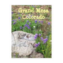 コロラド州，グランドメサ