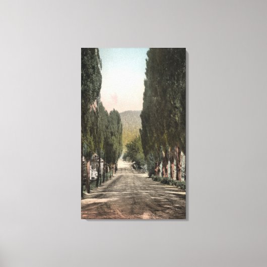 コロラド州,グレンウッド春 キャンバスプリント (正面)