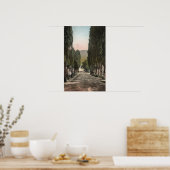 コロラド州，グレンウッド春 ポスター (キッチン)