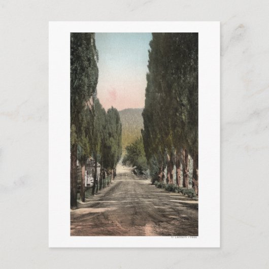 コロラド州，グレンウッド春 ポストカード (正面)