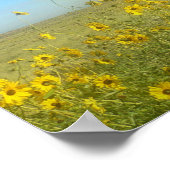 コロラド州,サンフラワーズ&マウンテンズ ポスター (角)