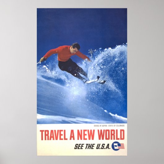 コロラド州《植物》アスペンのヴィンテージ旅行ポスター ポスター (正面)