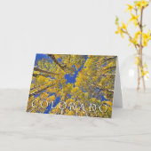 コロラド州 秋 | アスペン森林 | 誕生日おめでとう カード (黄色い花)