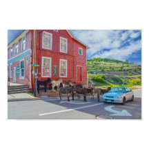 コロラド州Cripple Creek Donkey Welcoming Committee