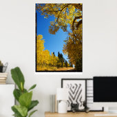 コロラド州Four Mile Road, Cripple Creek ポスター (ホームオフィス)