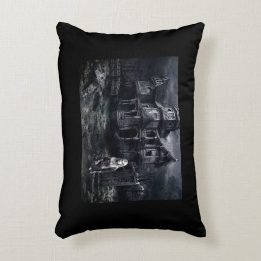 コロラド幽霊のよく出るハウス アクセントクッション (正面(垂直))