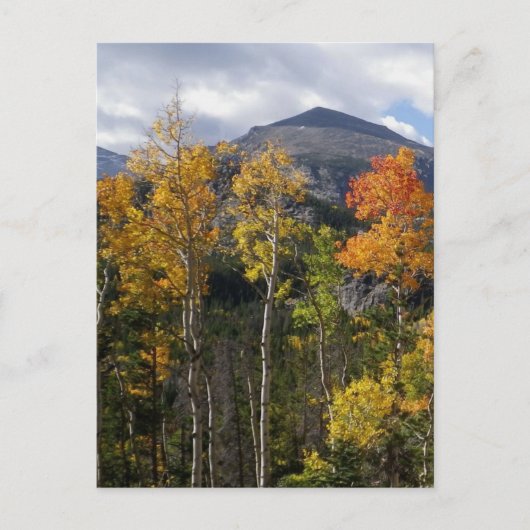 コロラド感動的はがき ポストカード (正面)