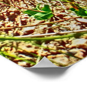 コロラド春ポスター ポスター (角)