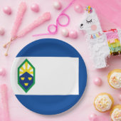 コロラド春州旗 ペーパープレート (パーティー)