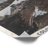 コロラド春、コロラド4 ポスター (角)