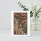 コロラド春(CO) ポストカード (スタンド正面)