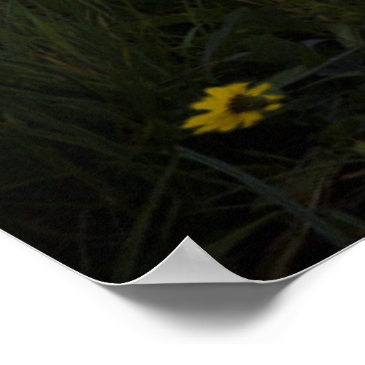 コロラド池の上の穏やかな日の出 ポスター (角)