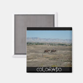 コロラド磁石 マグネット (正面/裏面)