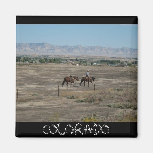 コロラド磁石 マグネット (正面)