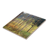 コロラド秋色《植物》アスペン タイル (側面)