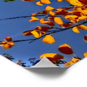 コロラド秋《植物》アスペンポスター ポスター (角)