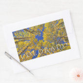 コロラド秋 |秋の《植物》アスペン林 長方形シール (封筒)