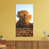 コロラド美しい キャンバスプリント (インサイチュ (リビング))