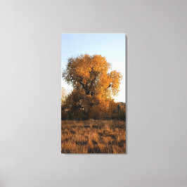 コロラド美しい キャンバスプリント