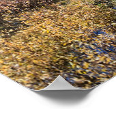 コロラド西部、秋にグランドメサ ポスター (角)