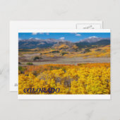 コロラド風光明媚な紅葉 ポストカード (正面/裏面)