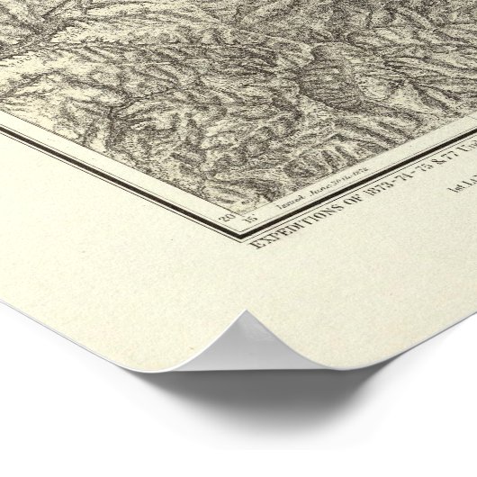 コロラド10 ポスター (角)