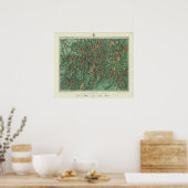 コロラド5 ポスター (キッチン)