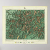 コロラド5 ポスター (正面)