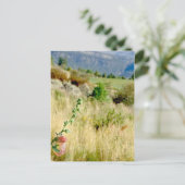 コロラド9月 ポストカード (スタンド正面)