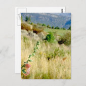 コロラド9月 ポストカード (正面/裏面)