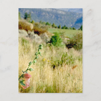 コロラド9月 ポストカード