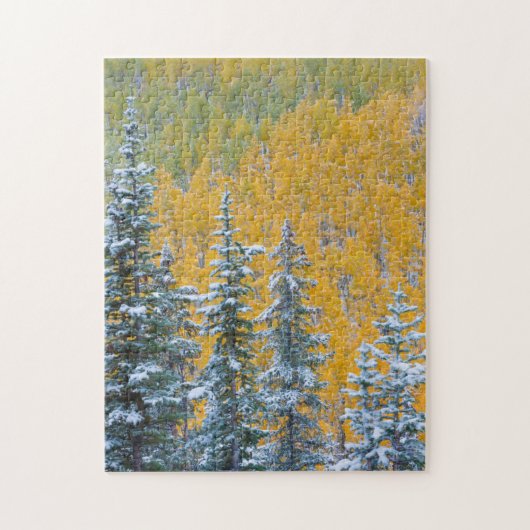 コロラド、グランドメサ。森林の初期降雪 ジグソーパズル (縦)