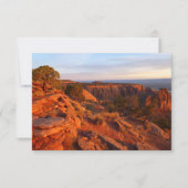 コロラド・ナショナル・モニュメントのグランドビュー・トレイルでの日の出 (正面)