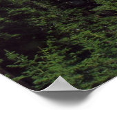 コロラド ポスター (角)