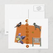 コロラド ポストカード (正面/裏面)