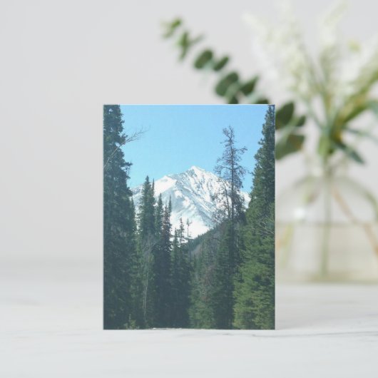 コロラド ポストカード (スタンド正面)