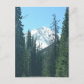 コロラド ポストカード (正面)