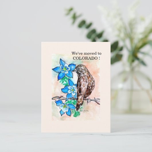 コロラド ポストカード (スタンド正面)