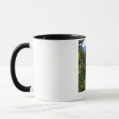 コロラド・ロイヤルゴージの美しい風景 コーヒー マグカップ (左)